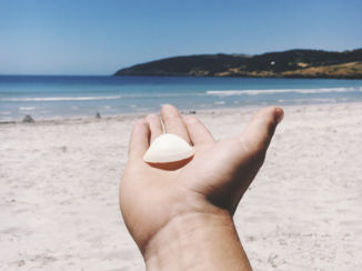 Kangaroo Island - Yes please