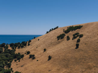 Kangaroo Island - The north