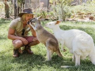 Adelaide - Australia