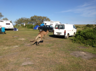 Australie