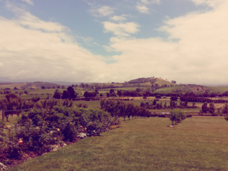 Australie - Yarra Valley