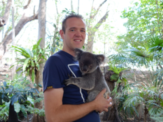 Australie - Koala