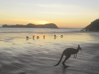 Australie - Sunrise in Queensland