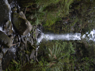 Victoria (Australië) - Erskine Falls