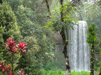 Australie - Waterfall way