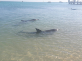 Australie