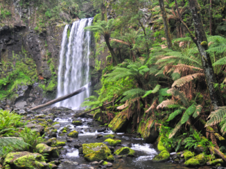 Victoria (Australië) - Hopetoun falls- Victoria