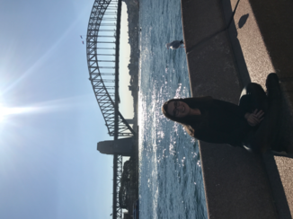 Sydney - Prachtige uitzichten