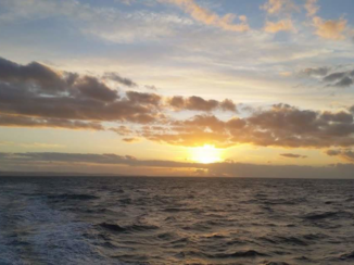 Kangaroo Island - Boottochtje