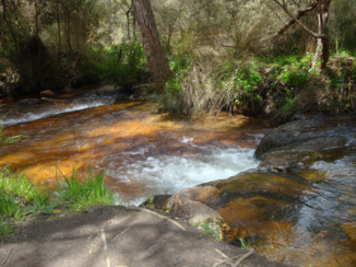 Australie - Natuurschoon Donnybrook