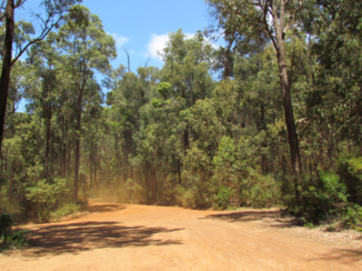 Australie - Dirt road / zandpaden