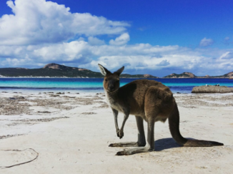 Australie - Esperance strand