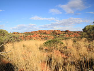 Alice Springs - <3