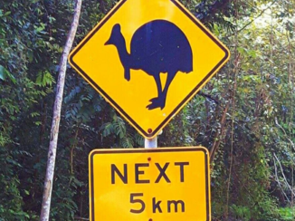 Australie - Cape Tribulation