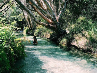 Australie