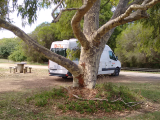 Australie
