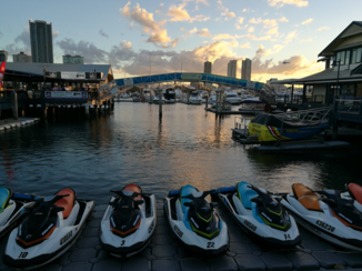 Australie - Gold coast