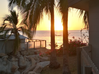 Australie - Good mornin from magnetic island