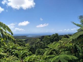 Australie - Port Douglas