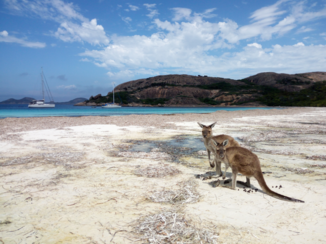 Australie