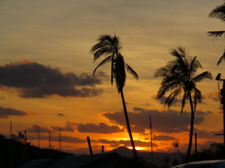 Australie - Goodmorning!