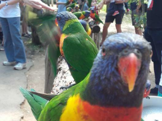 Australie