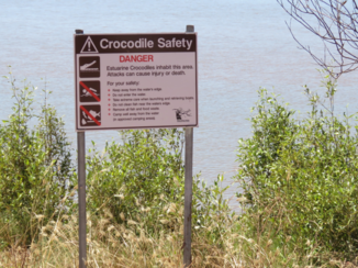 Western Australia - Salties, zijn ze er wel of niet?