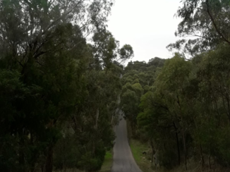 Victoria (Australië) - Bush