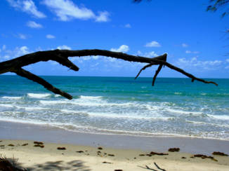 Australie - was het maar altijd zo mooi