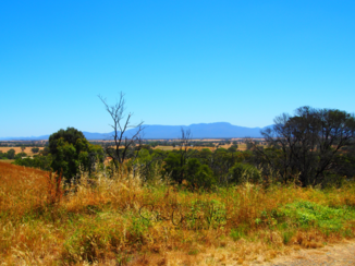 Australie - Zicht op de Grampians
