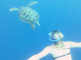 Grampians National Park - Cebu Filippijnen