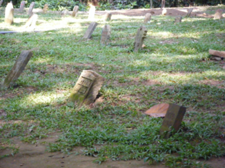 333travel - Apen kerkhof