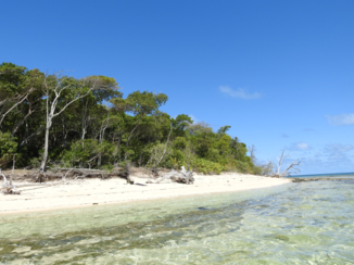 Queensland - Green Island