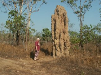 Western Australia - Termieten
