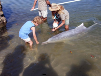 Australie - Tin Can Bay