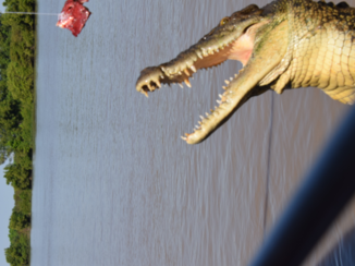 Australie - Adelaide river