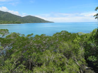 Cape Tribulation - Foto richting Cape Tribulation