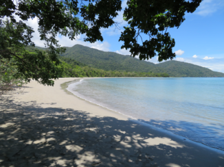 Cape Tribulation - Strand bij Cape Tribulation