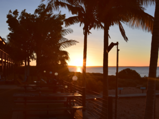 Australie - Monkey Mia