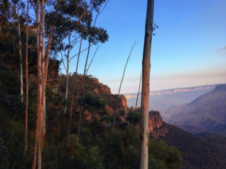 Australie - Blue Mountains