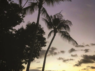 Australie - Magnetic Island