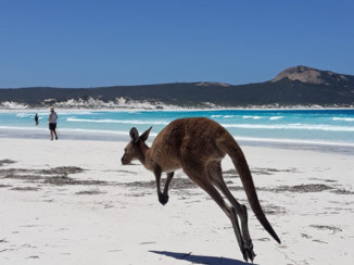 Australie - Lucky bay