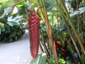 Queensland - Zie je bij ons niet