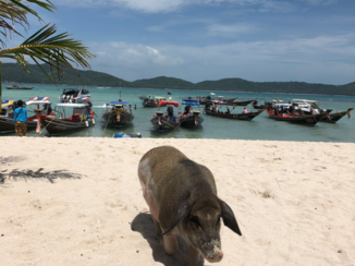 ANWB Vakantie - Koh Mat Sum